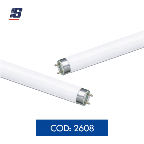 Tubo fluorescente T10 40W 6500K G13